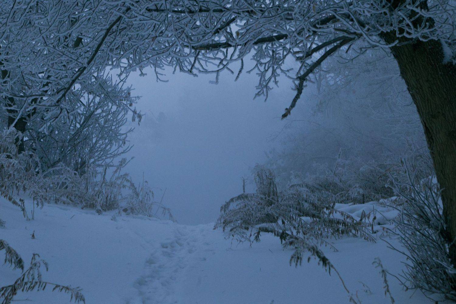 зима, снег, туман, утро, горячка, пейзаж, красота, winter, snow, mist, morning, landscape, beauty, Виктор Бертяев