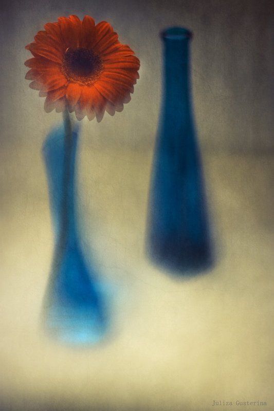 ⋘✿⋙ фото превью