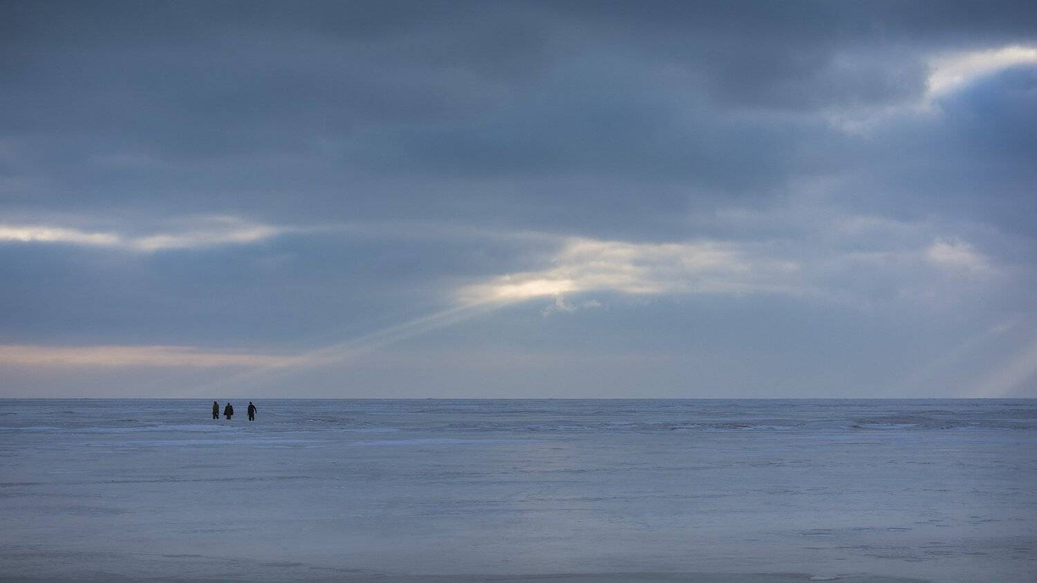 , Юрий Пужалин