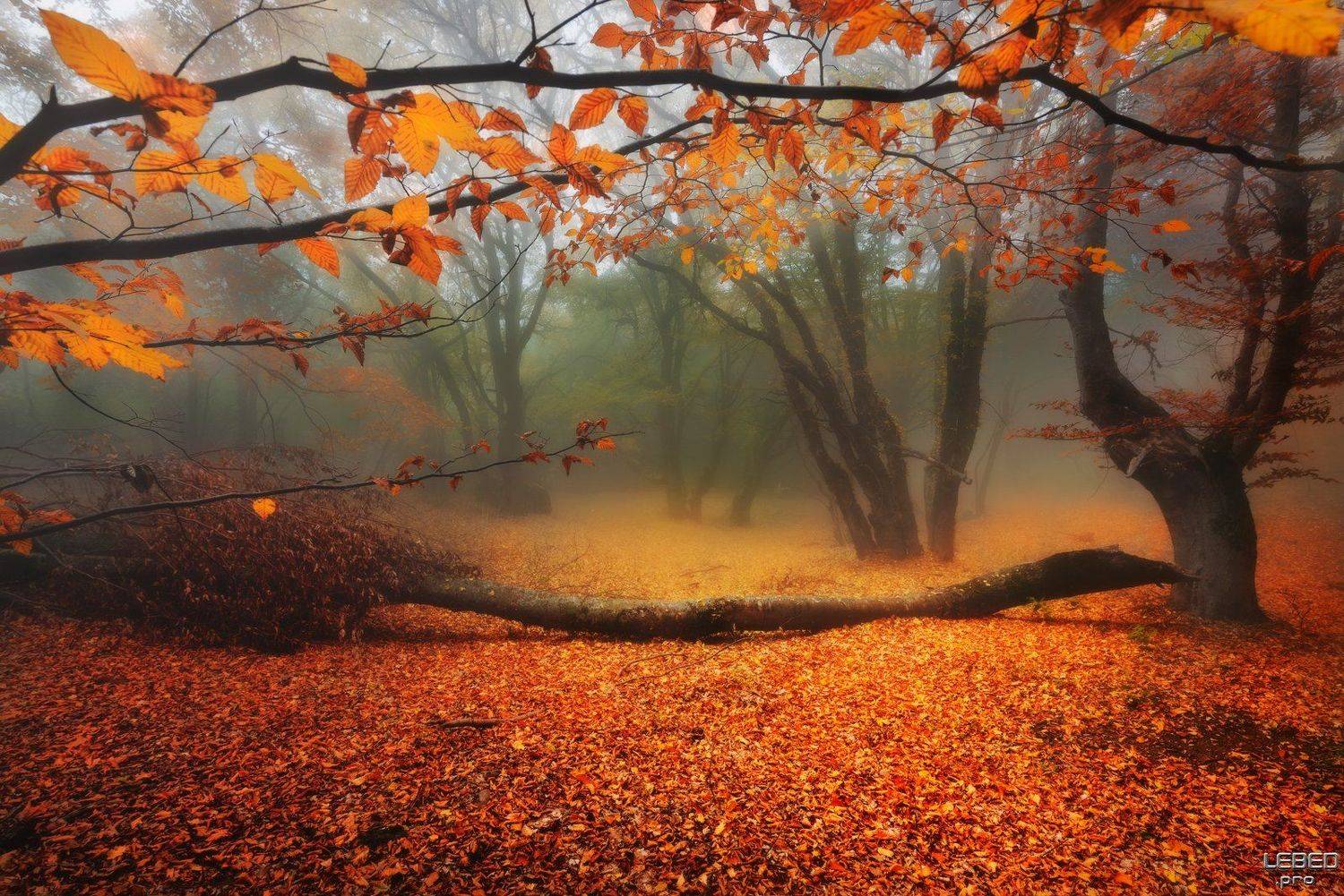 , Виктор Лебедь