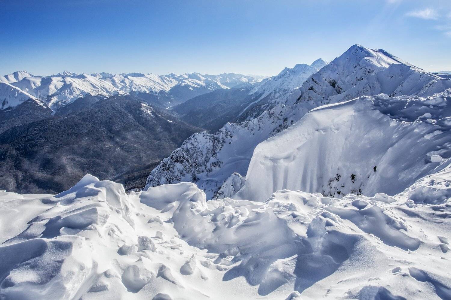 сочи роза пик, Кемаев Александр