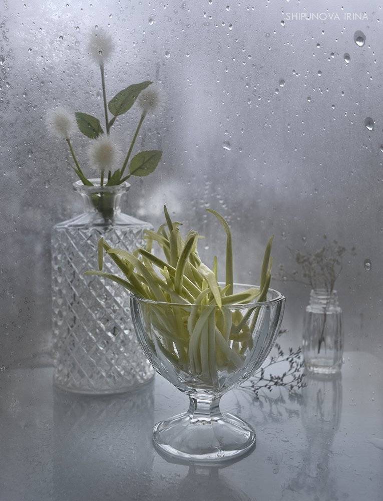 весна стекло черемша капли сухоцвет, Шипунова Ирина
