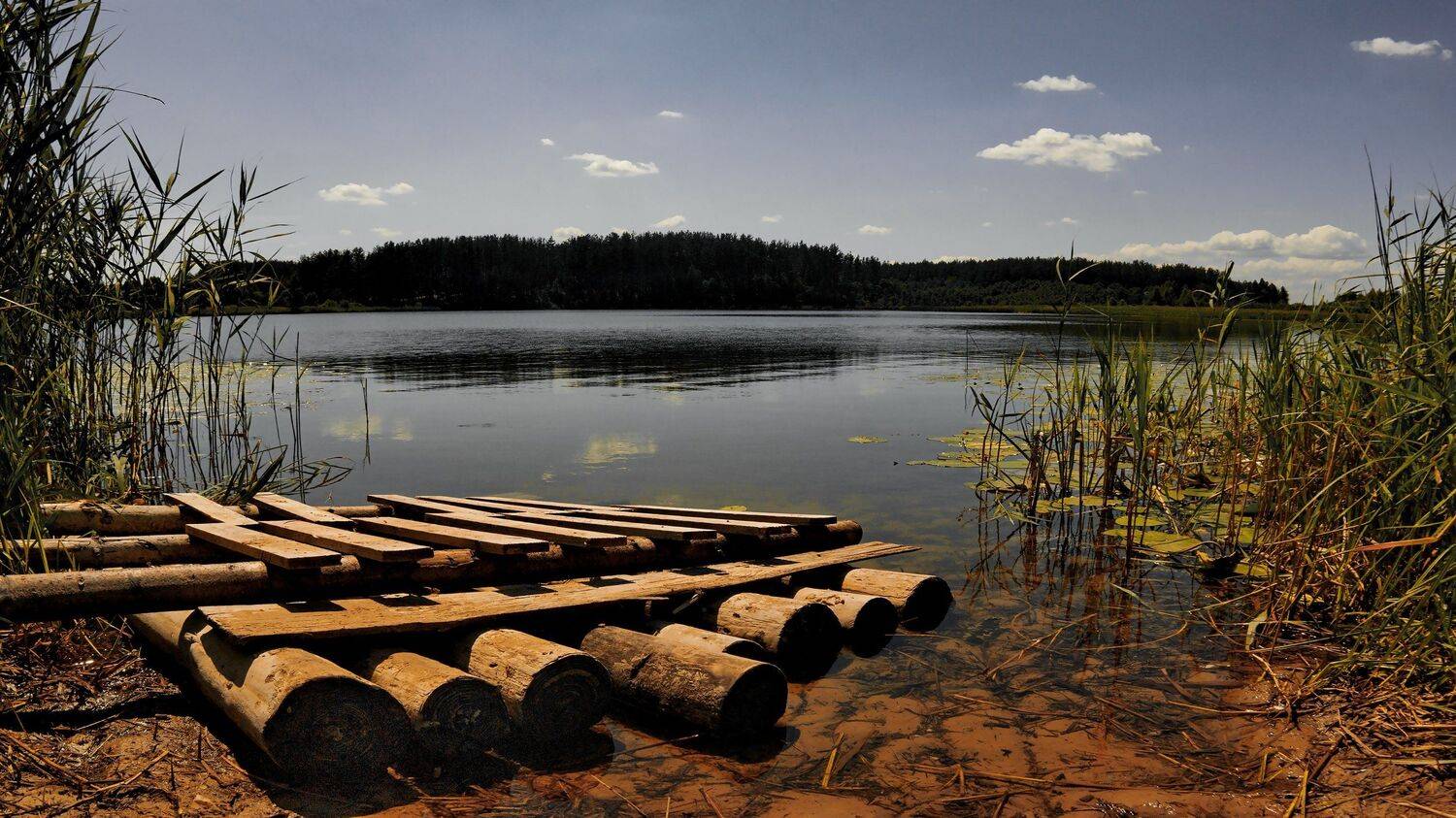 лето,природа,пейзаж,беларусь, Sixten ( Сергей )