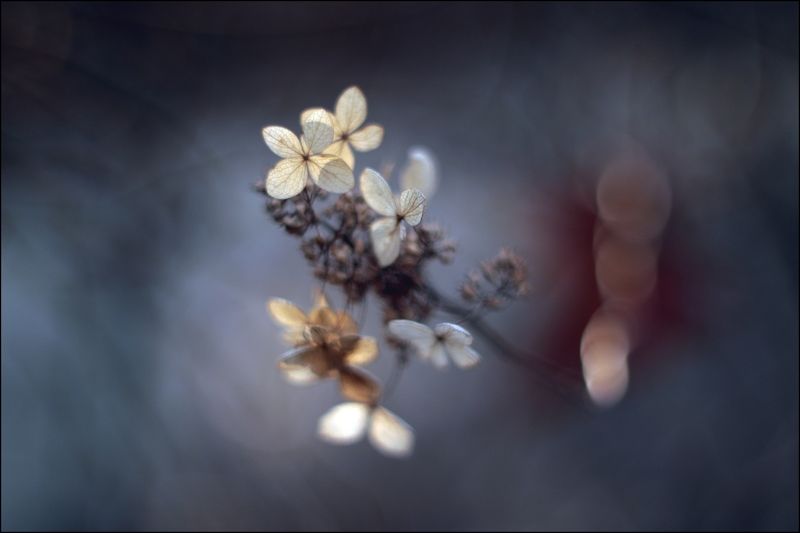 ... фото превью