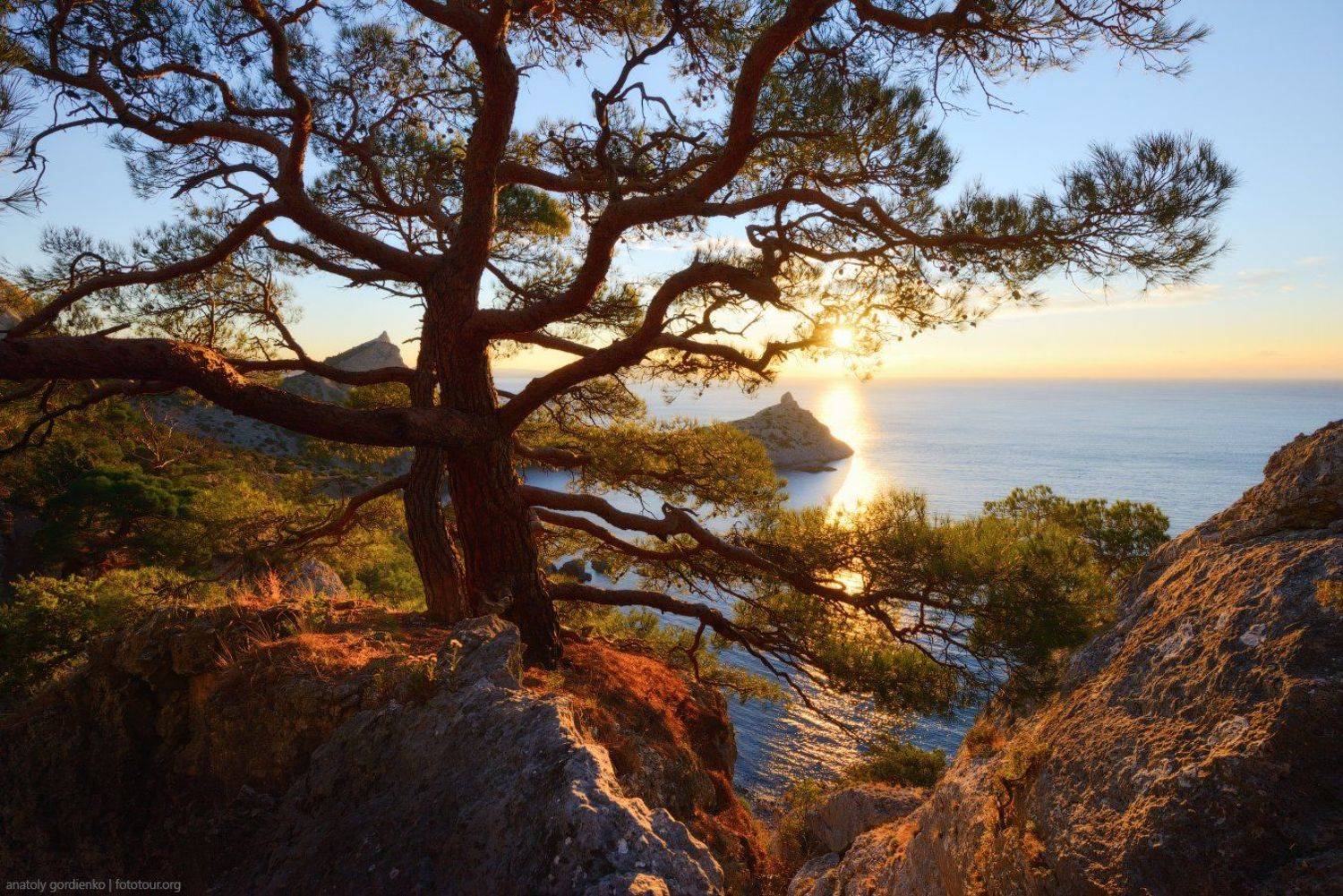 , Анатолий Гордиенко