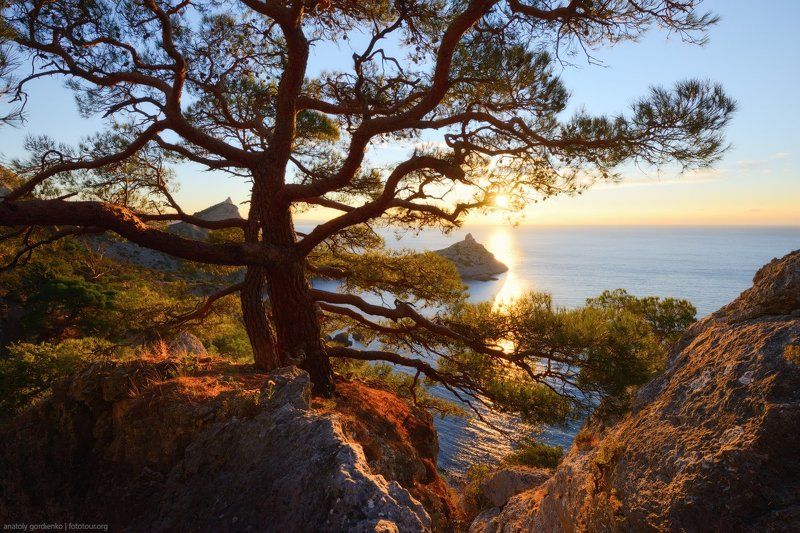 Утреннее солнце фото превью