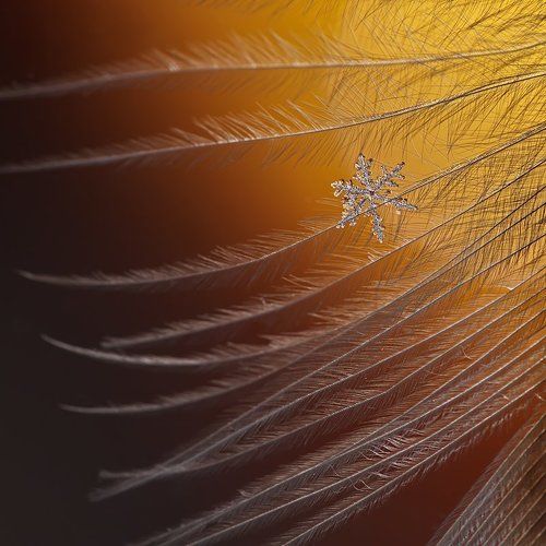 Лёд и пламя