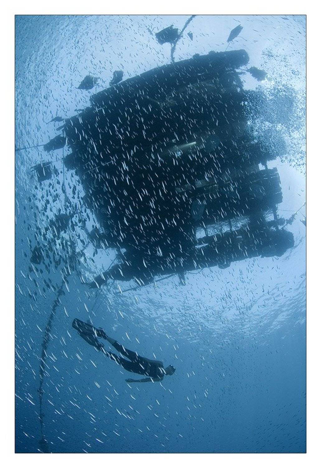 , Нарчук Андрей