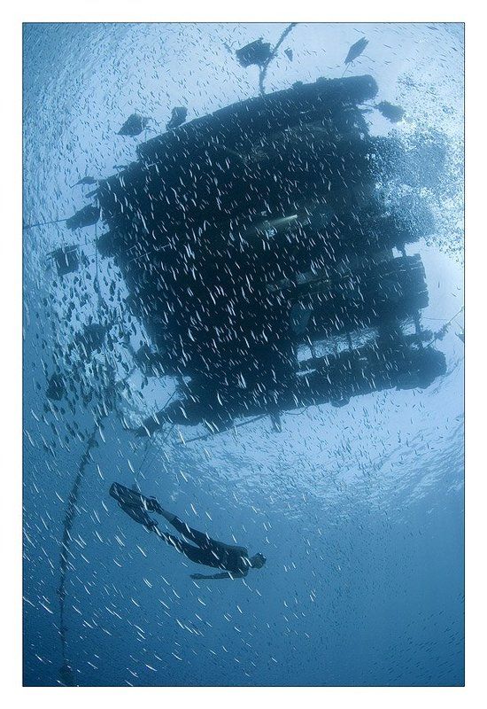 *** фото превью