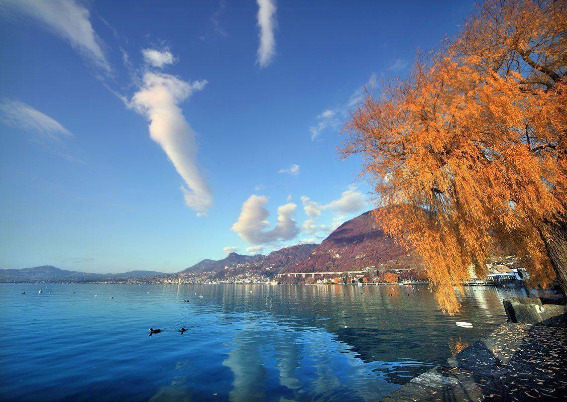 пейзаж,природа,путешествия,осень,швейцария, Матвеев Николай