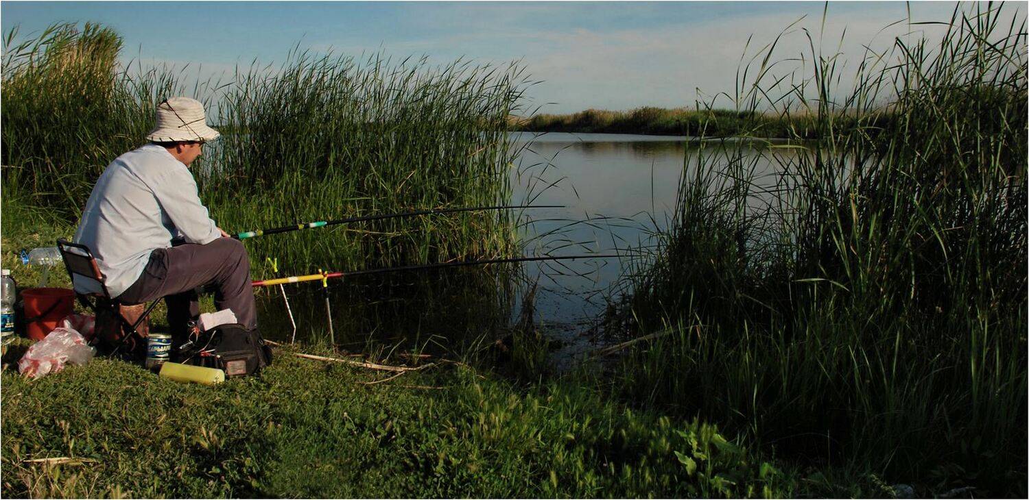 природа, Геннадий Меремьянин