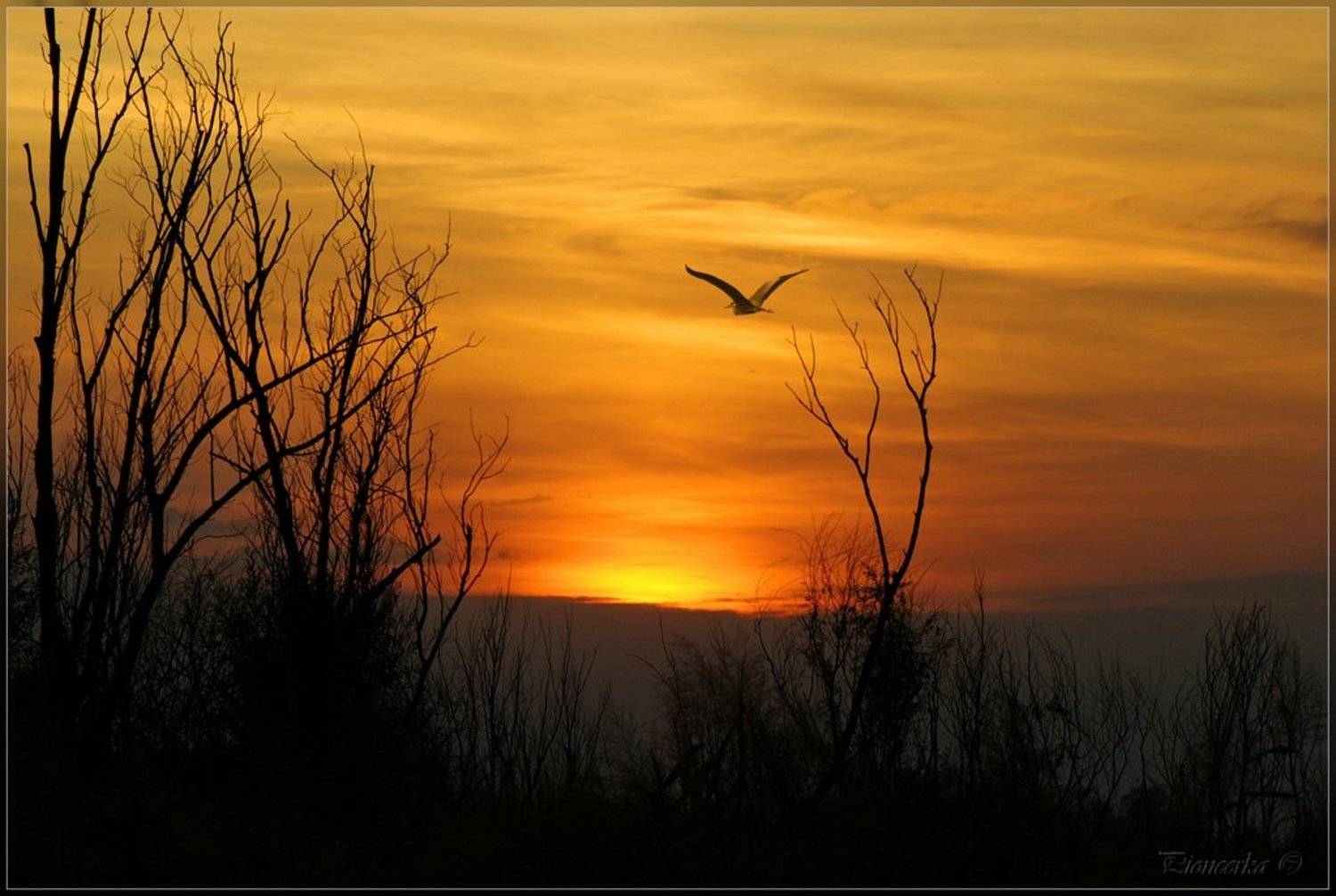 , Татьяна Аверина