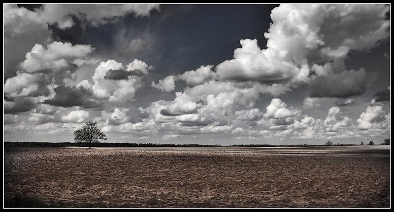 gordij... фото превью