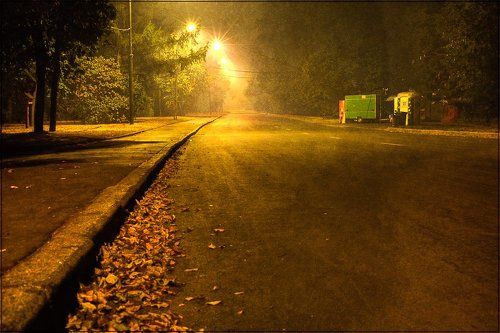 Дорога в ночи