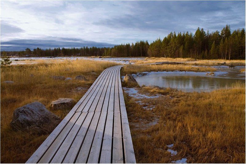 карелия Карельский вечер фото превью