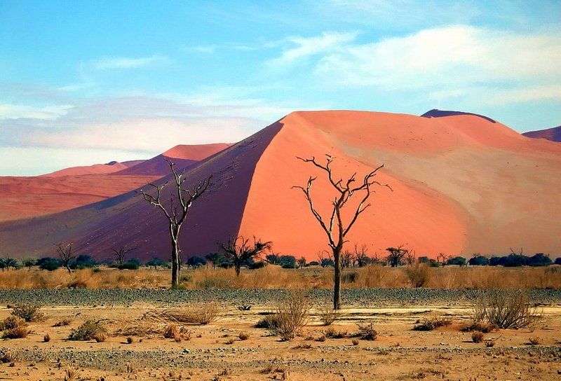 пустыня противостояние фото превью