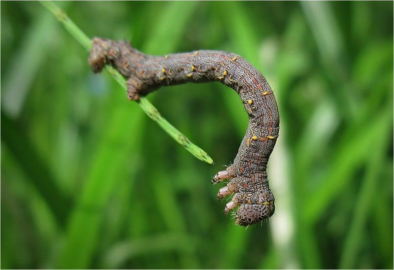 Трудный выбор фото превью