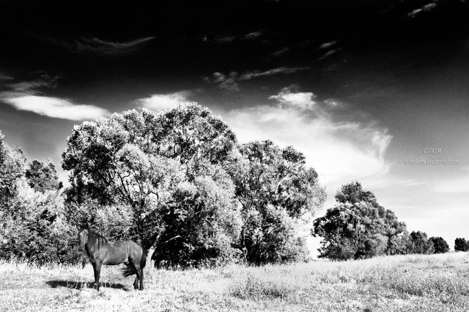 мокров, mokrov, Александр Мокров