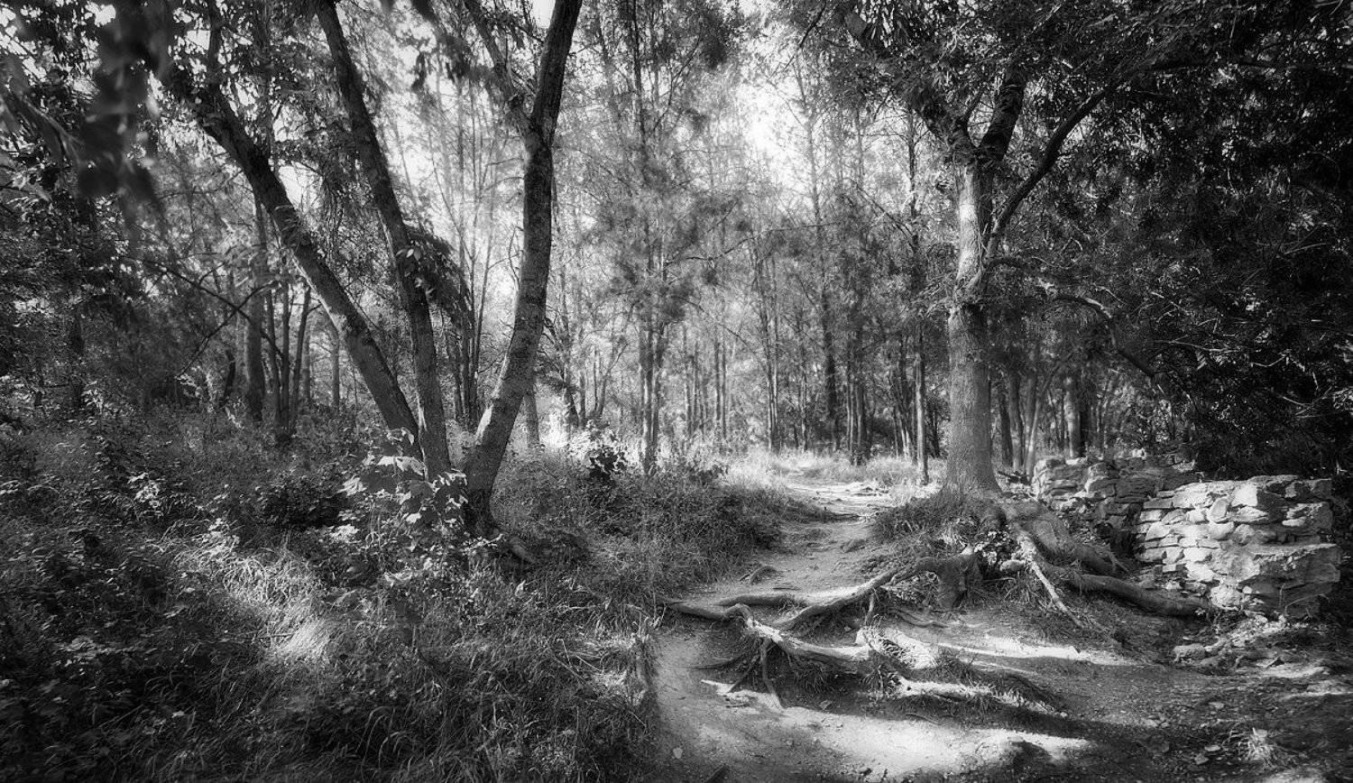 , Артур Абидинов