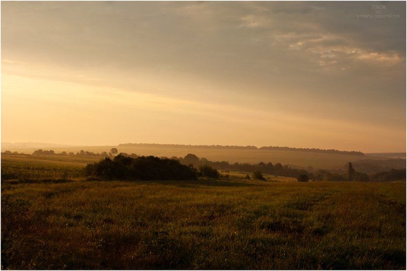 пейзаж Тишина фото превью