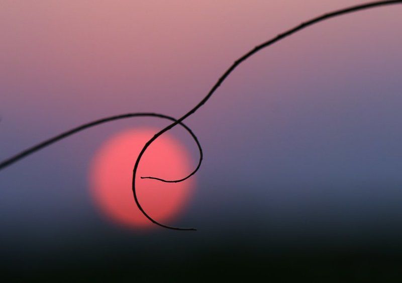 Мелодия звучала на закате... фото превью