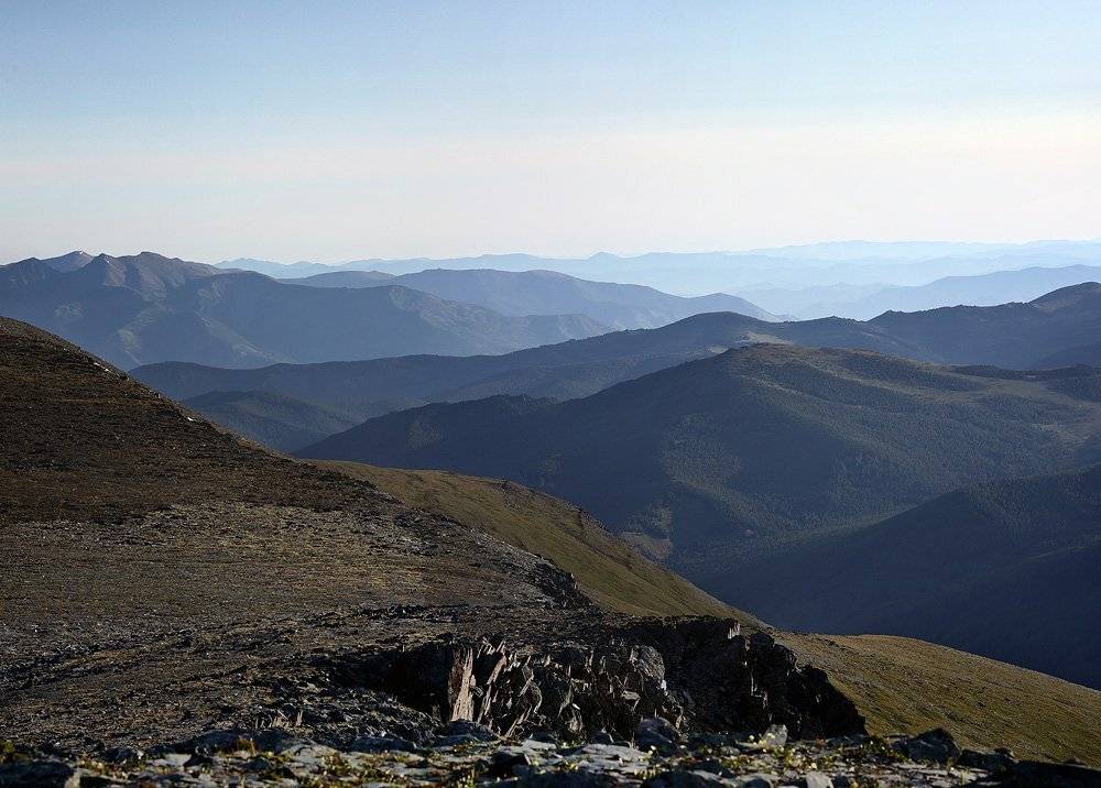 , Степан Каморный