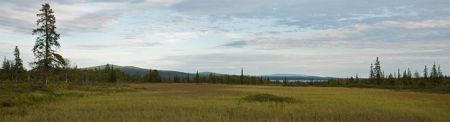 кольский, полуостров, locus