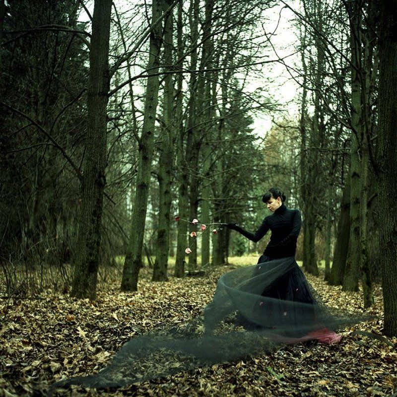 ... фото превью