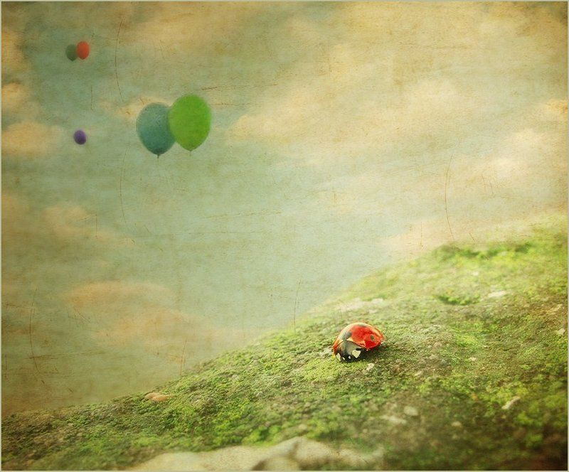 полет, шарики, коровка о копошашихся в земле и о парящих в облаках.. фото превью