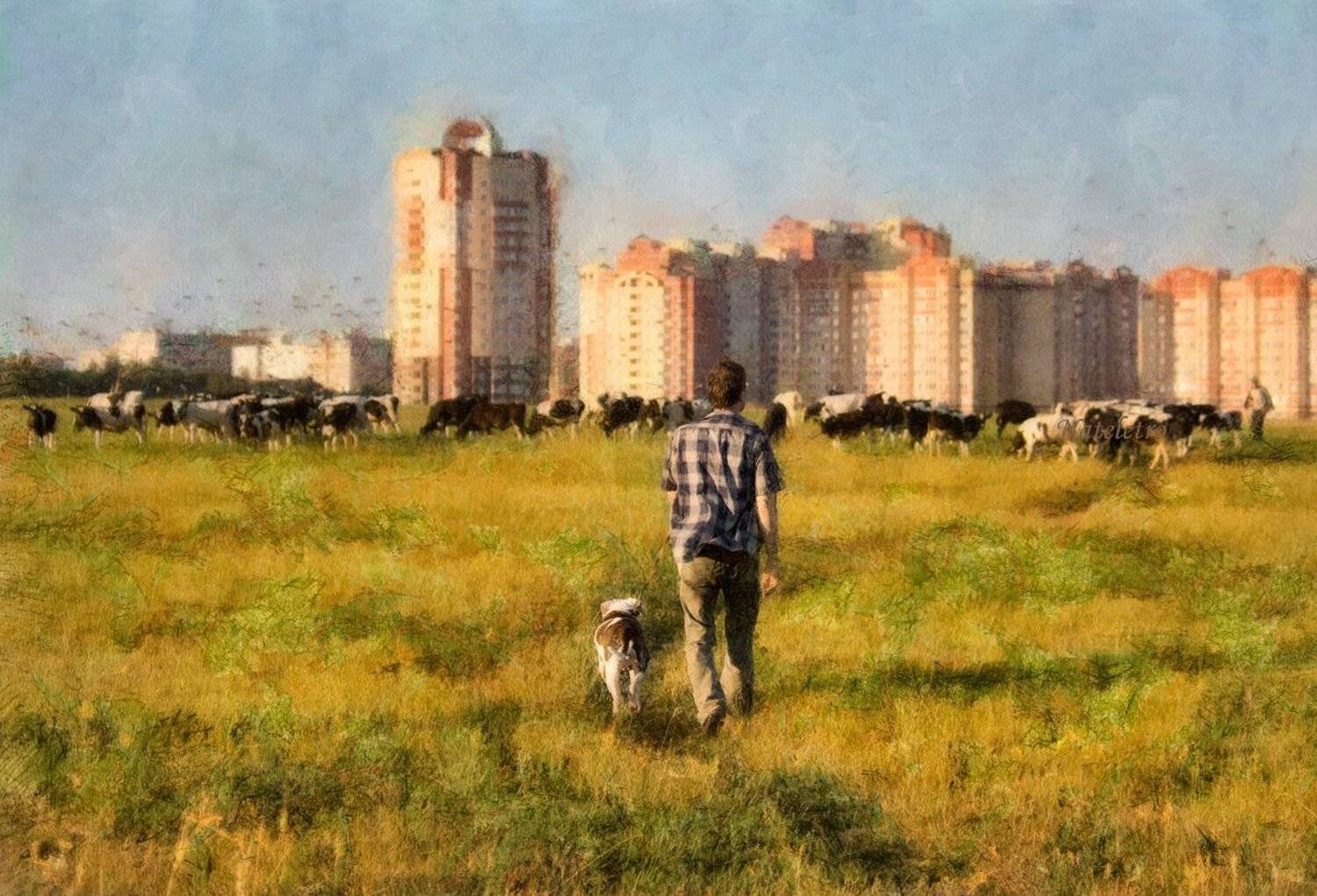 электросталь, город, человек, собака, бурёнки, Nateletro