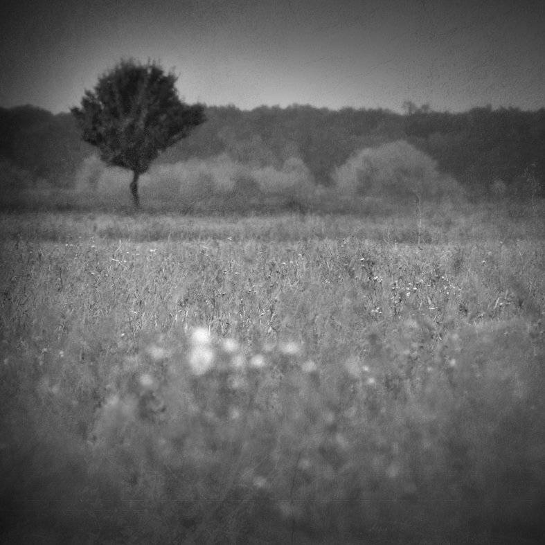 , Владимир Точаненко