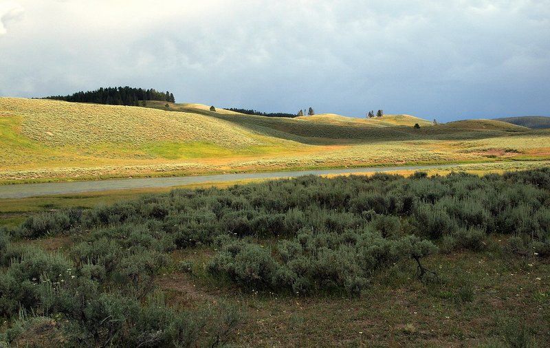 Пейзаж со светом фото превью