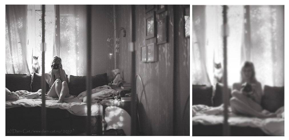 автопортрет, девушка, утро, фотограф, кошка, пробуждение, Darn Cat