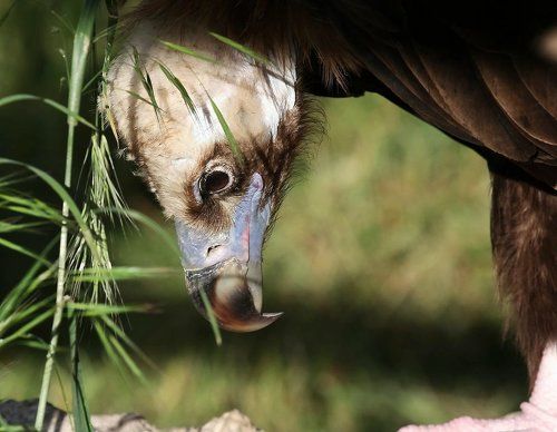 тааак, посмотрим что тут у нас...