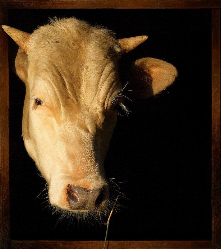 Грустные мысли о будущем фото превью