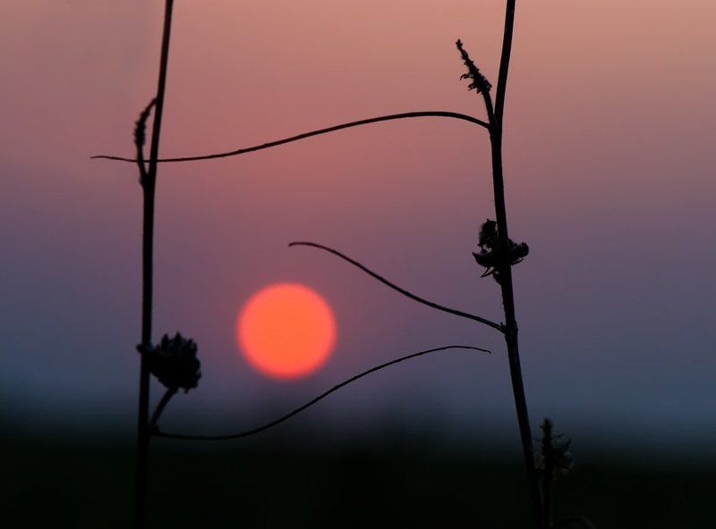 Я слышу танец... фото превью