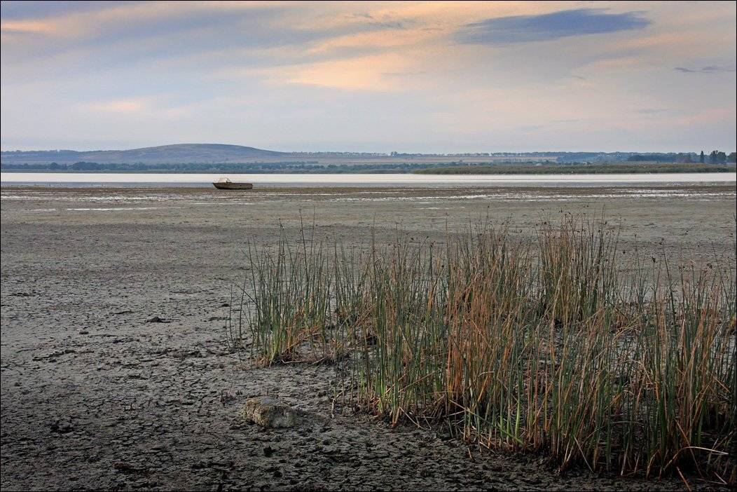 лиман, вода, утро, Тарасов Алексей