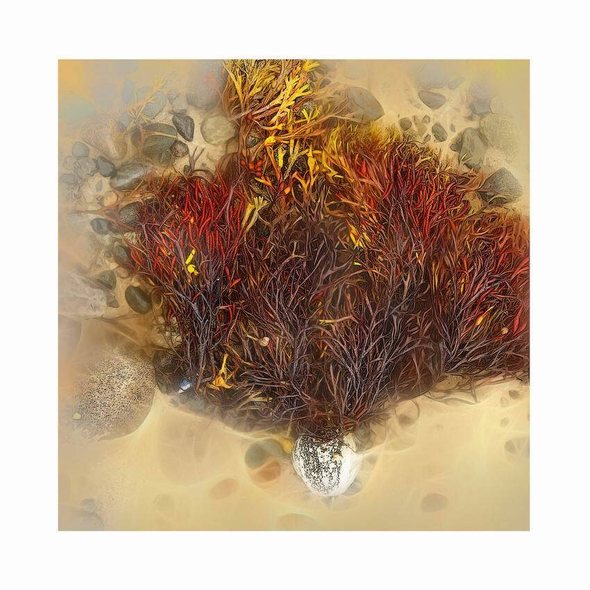 натюрморт, николай дмитрук