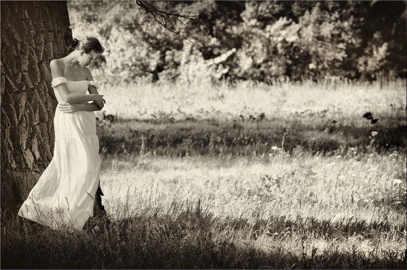 Сказки старого дуба фото превью