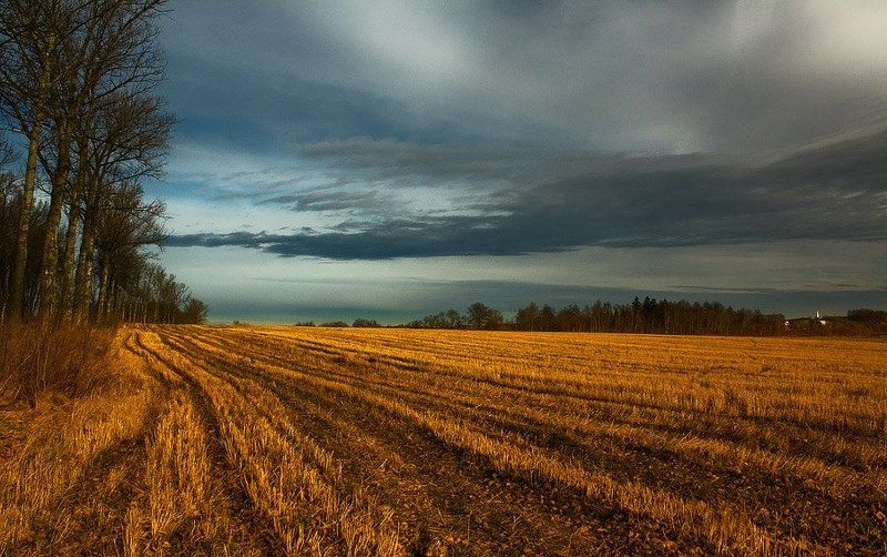 **** фото превью