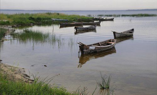 С мечтой о просторах