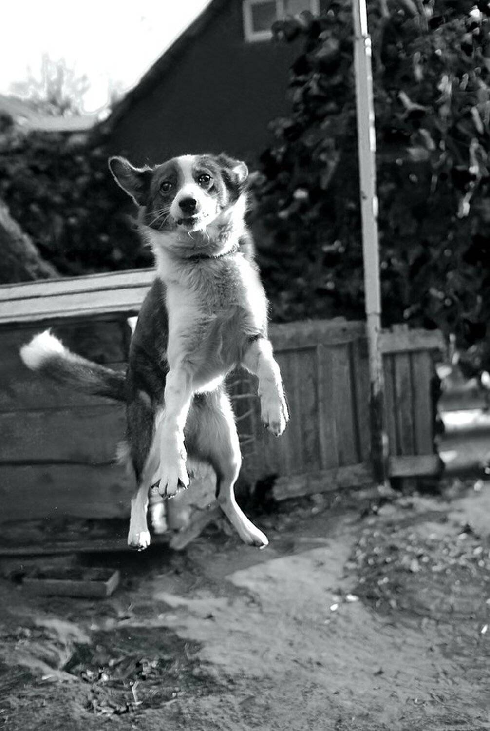 , иван иванов