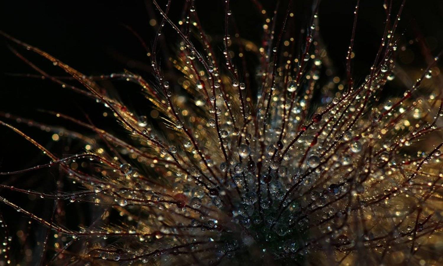 , Татьяна Аверина