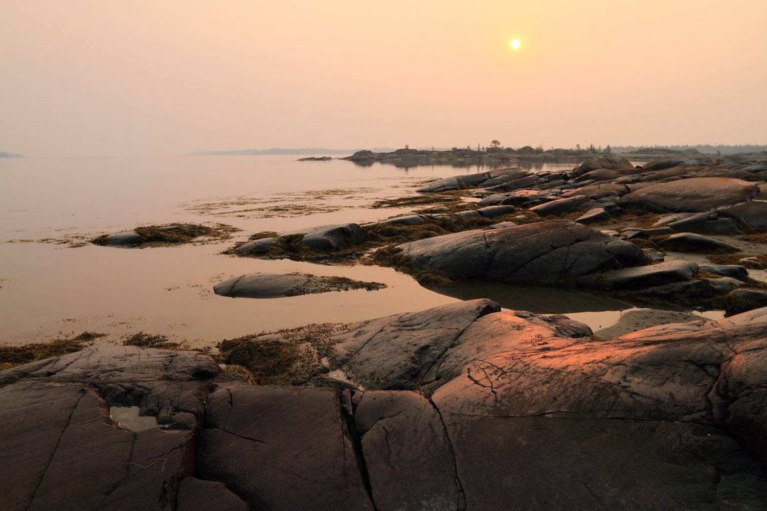 рассвет, белое, море, острова, дымка, карелия, Александр Курносов