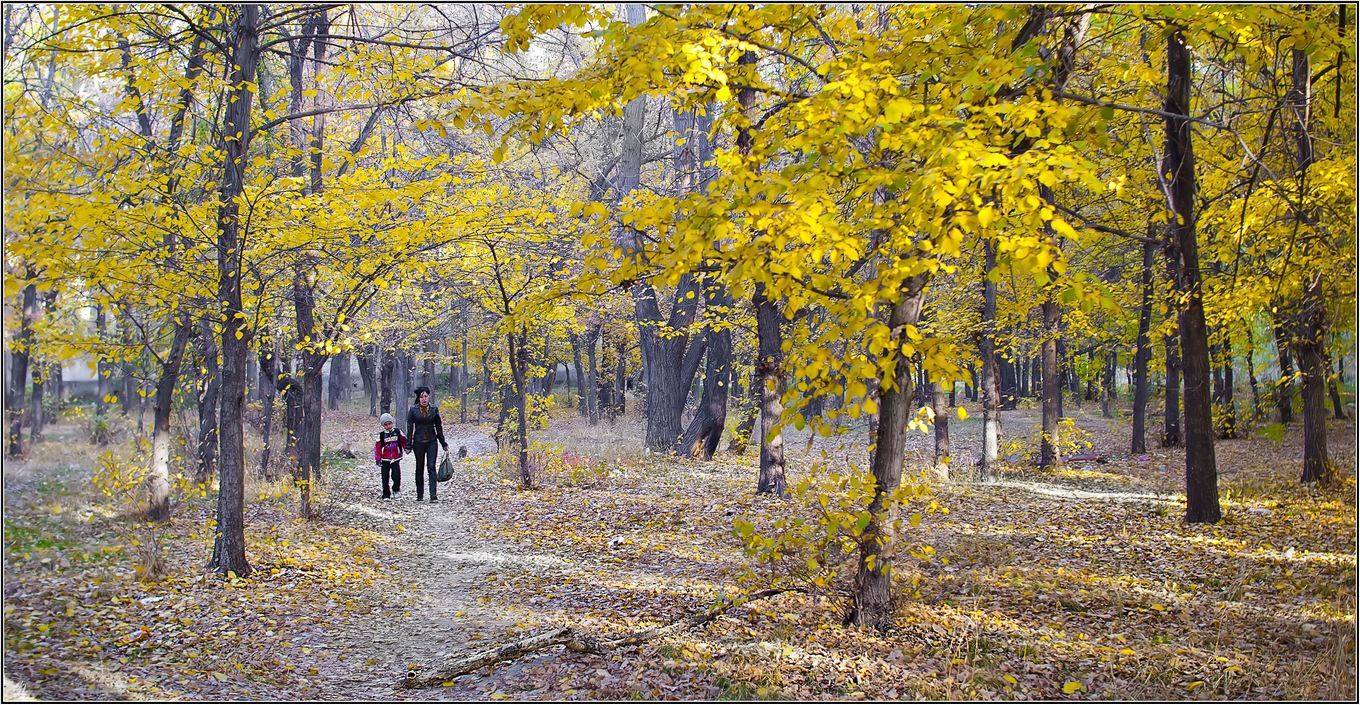 , Геннадий Меремьянин