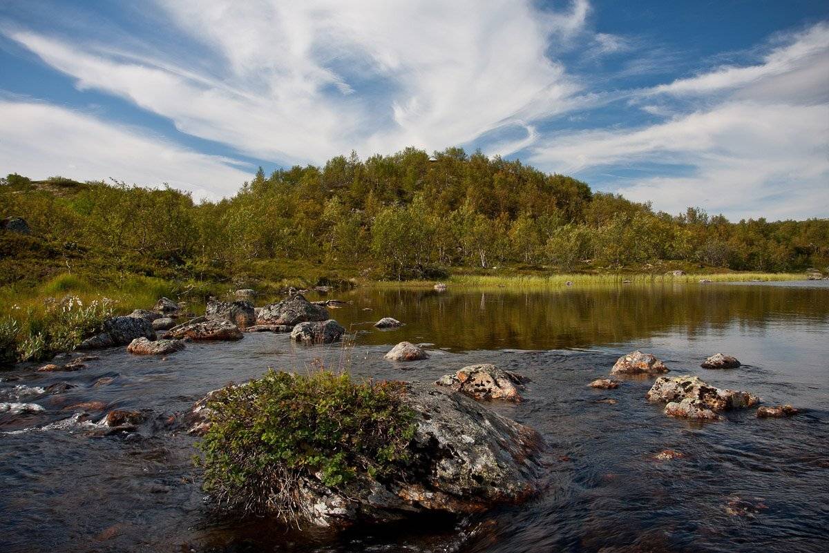 кольский, полуостров, locus