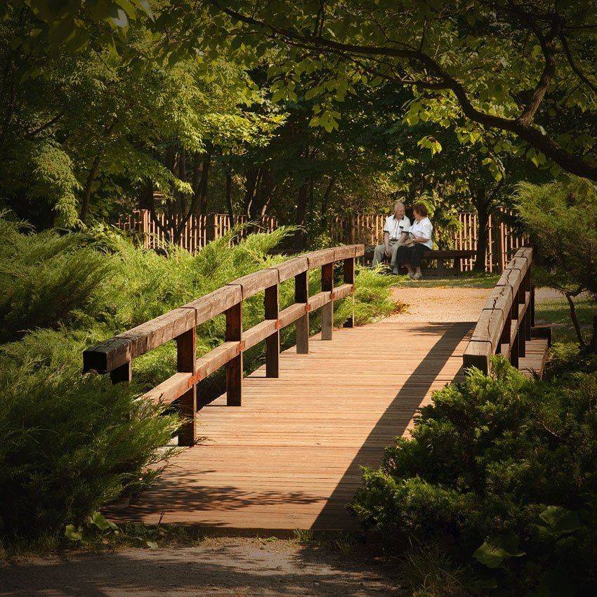 жанр, пейзаж, японский садик, ch_nik