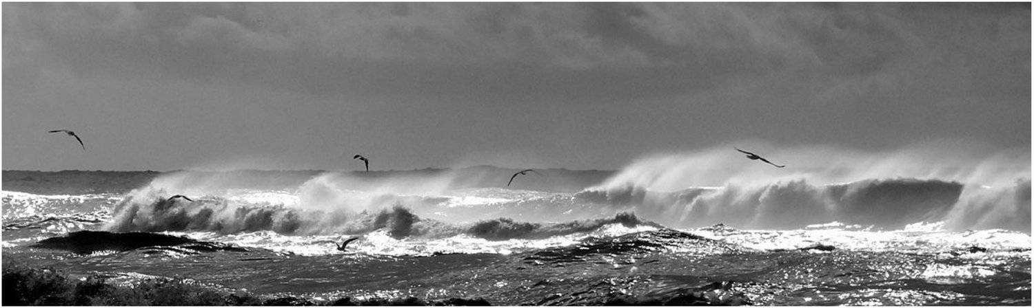 шторм, волны, чайки, море_средиземное, VictorSe