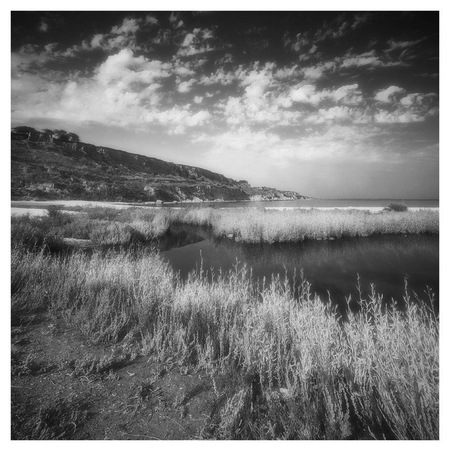 , Денис Кривой