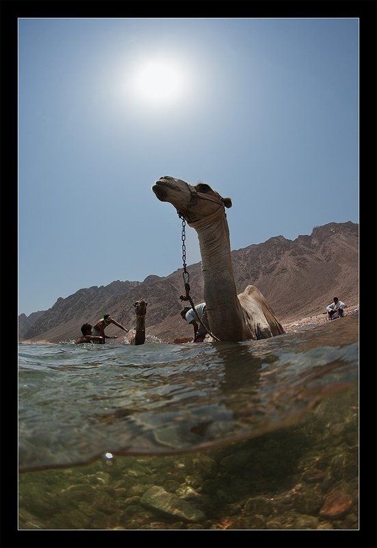 Иногда даже эти корабли плавают фото превью